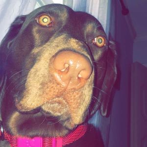 Meet your Posher, Landon